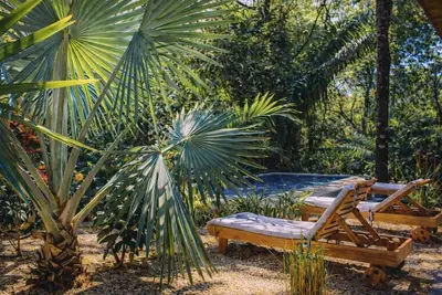 Image de Happy Camp | 2 Jungle Homes W/Pool In Nosara