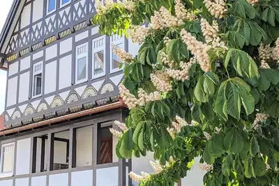 Image de Comfortable holiday apartment for 2–3 guests near old town with parking & WiFi