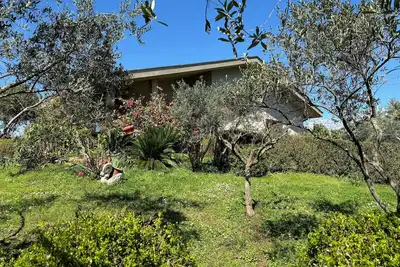 Image de Appartement d'une chambre avec la terrasse Galizana, Fazana (A-22977-b)