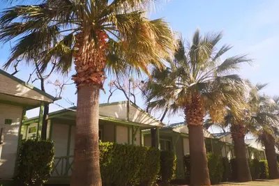 Image de Bungalow 5 Pers avec Terrasse