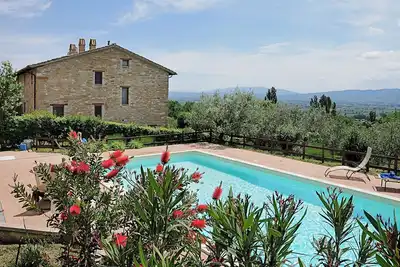 Image de Villa with pool surrounded by an olive grove
