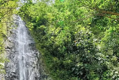 Image de Nestled in the lush and peaceful Manoa Valley, private residence rare gem.