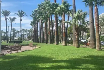 Image de Cannes Palm Beach T2 debout Wi Fi Climatisation