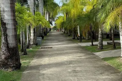 Image de Magnifique chalet 3 chambres. Spot idéal pour kitesurfing et farniente!