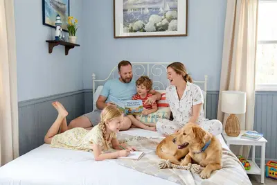 Image de Fresh Spring Stay | Bright 1 Br | LaHave River