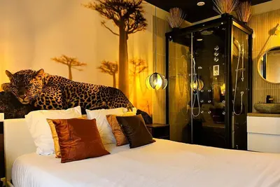 Image de Le Safari – Gîte à thème safari au cœur du Tarn