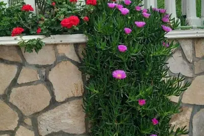 Image de Villa Delfin 3 - Studio in Šušanj