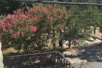 Image de Terrific location in Savannah Historic District Rent monthly up to six months