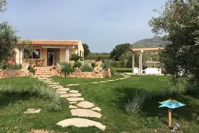 Image de House surrounded by olive grove 900mt from the sea