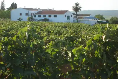 Image de Ferme andalouse typique avec piscine et à proximité de Cordoue
