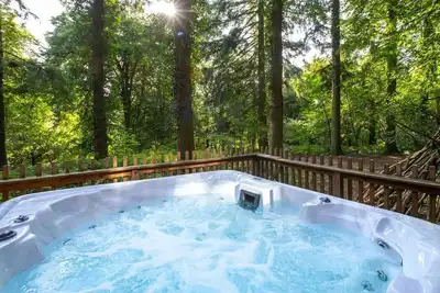 Image de Glentress Forest Golden Oak Cabin, Peebles