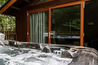 Image de Glentress Forest White Willow Premium, Peebles