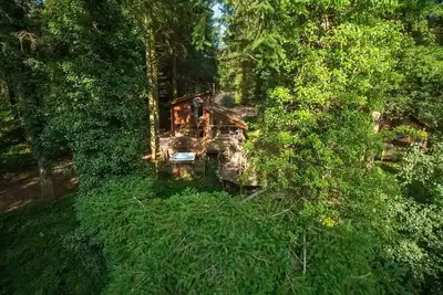 Image de Glentress Forest Golden Oak Treehouse, Peebles