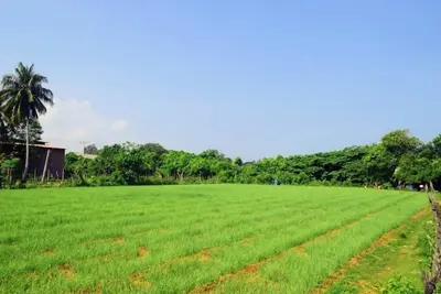 Image de Modern Open-Plan Loft for 5 in the Heart of Point Pedro