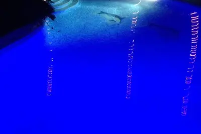 Image de Villa Dawn, Bahia de Arena