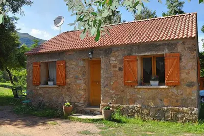 Image de E Canicce