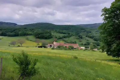 Image de Entre vignes et forêts en Mâconnais