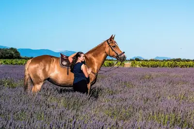 Image de Gîte Du Poney Fringant avec terrasse privée, jardin privatif et Wi-Fi à Saint-Paul-Trois-Châteaux