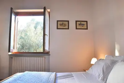 Image de Montecasciano   Mimosa