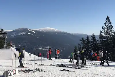 Image de Agréable appartement pour 4 personnes avec Wifi, Tv, terrasse et animaux admis