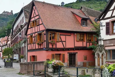 Image de Gîte Vigne en fleur
