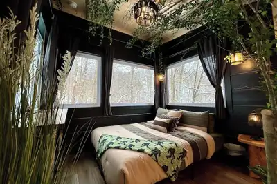 Image de Bigfoot's Bluff | Hot Tub| Forest Canopy Cabin Rrg | Located 5 Min From Nada Tunnel!