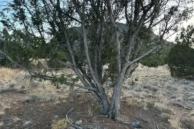 Image de 360 degree skies