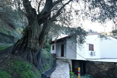 Chania Hillside 2bd Home – Nature & Comfort by ΜΡS