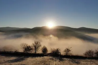 Image de Lumineux gîteau milieu des animaux sur ferme bio dans le Verdon