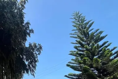 Image de Aburi Emerald Garden Retreat