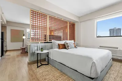 HiBird - Studio Suite Plus