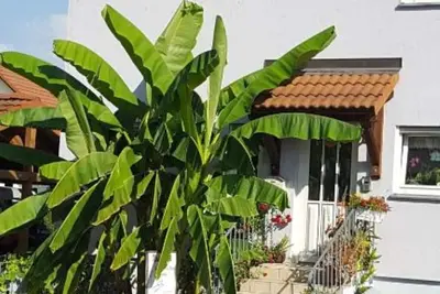 Image de Vacation apartment Am Eck