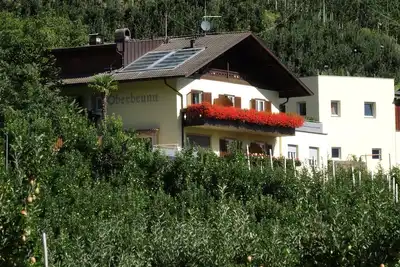 Image de Appartement « Sonnenblume » avec vue sur la montagne, piscine commune et Wi-Fi