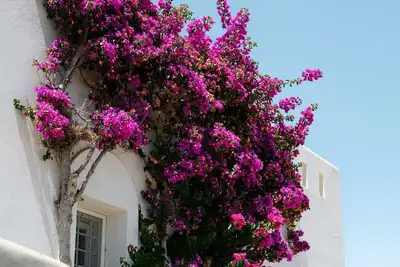 Image de Naxos Kastraki Homey Villa with Sea View