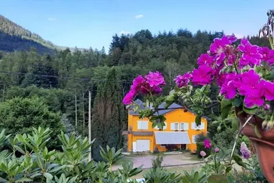 Image de Gîte Forestier Du Moulin 10 Pers : Vue Montagne, Terrasse Privée et Wi-Fi