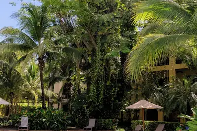 Image de Beautiful central 3-bedroom Condo with Pool and Beach Club Access