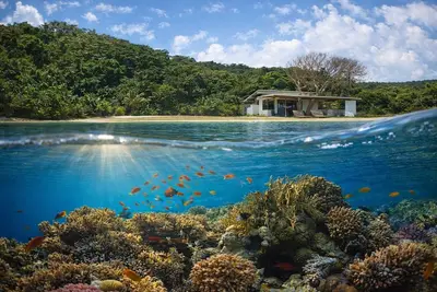 Image de Lovely Caribbean Apartment with Ac + Wifi + Bbq + Beach + Kitchen + Parking