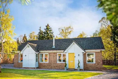 Image de Golden Eagle-Ukc5057