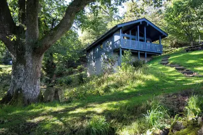 Image de Cedar Chalet 10 - Ukc5233