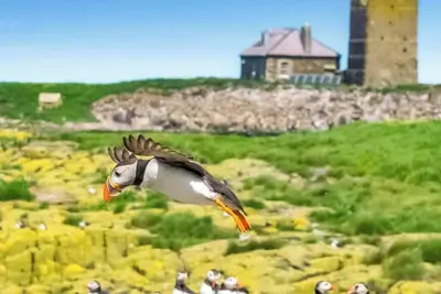 Image de Fishermans Corner - Ukc5301