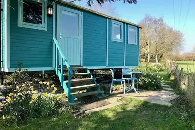 Image de Heartsease - Ukc5951