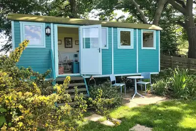 Image de Meadowsweet - Ukc5952