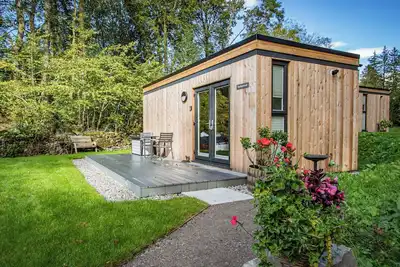 Image de Spring Wood - Ukc6638