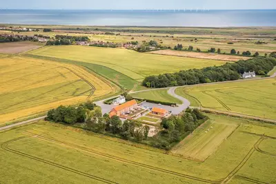 Image de Oyster Catcher - Uk32200