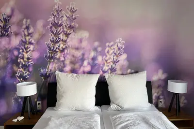 Image de Appartement Gänseblümchen, 60 m² avec terrasse privée, jardin et Wi-Fi