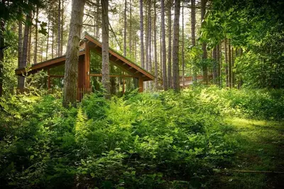 Image de Blackwood Forest Silver Birch, Winchester