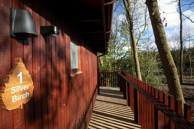 Image de Blackwood Forest Silver Birch Cabin, Winchester