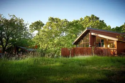 Image de Beddgelert Silver Birch Cabin, Beddgelert