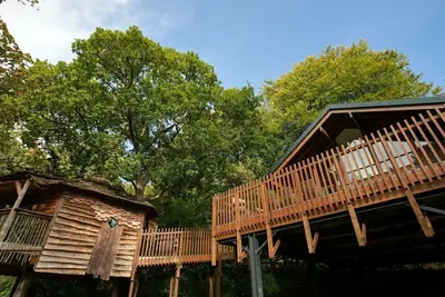 Image de Keldy Classic Golden Oak Treehouse, Pickering