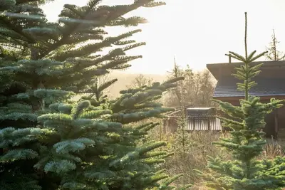 Image de Garwnant Golden Oak, Cwmtaf - Nature's Retreat